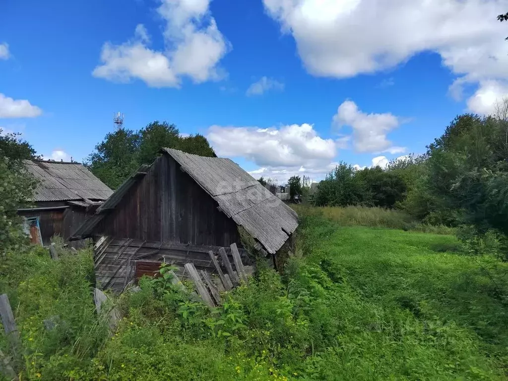 Дом в Амурская область, Свободный Перская ул. (41 м) - Фото 0