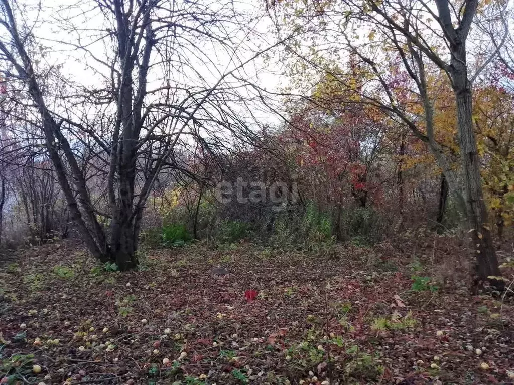 Участок в Калининградская область, Калининград Дельфин СНТ, ул. ... - Фото 0