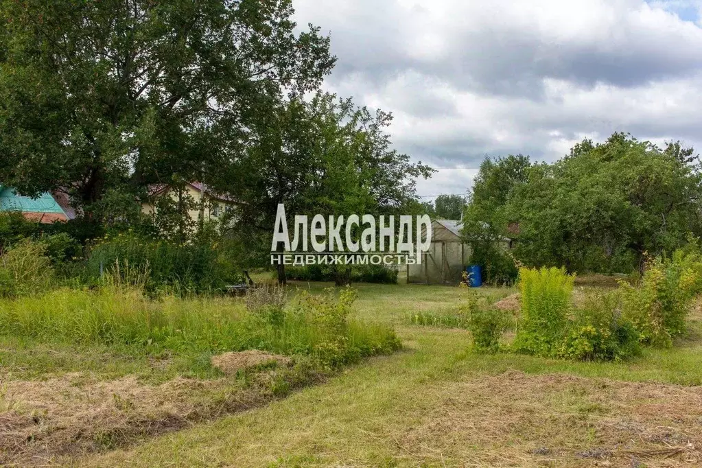 Участок в Ленинградская область, Кировское городское поселение, ... - Фото 2