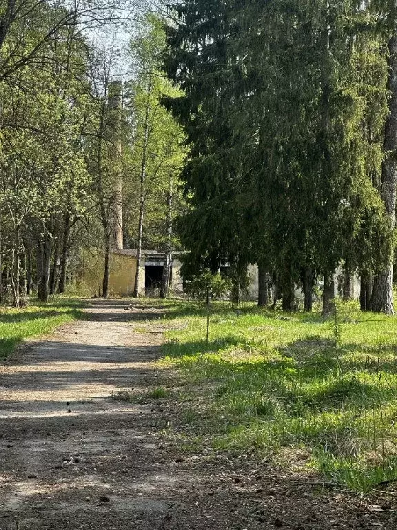 Продается участок в г. Лосино-Петровский - Фото 2