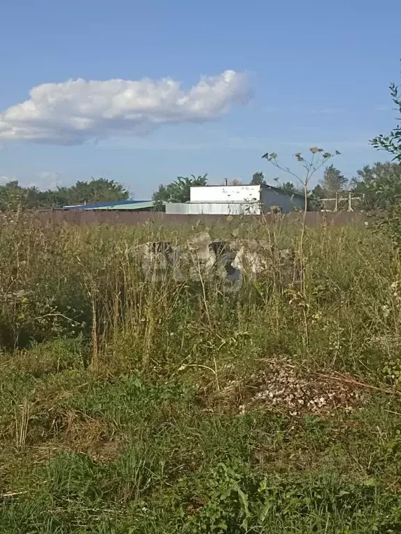 Участок в Калужская область, Калуга городской округ, д. Андреевское  ... - Фото 0