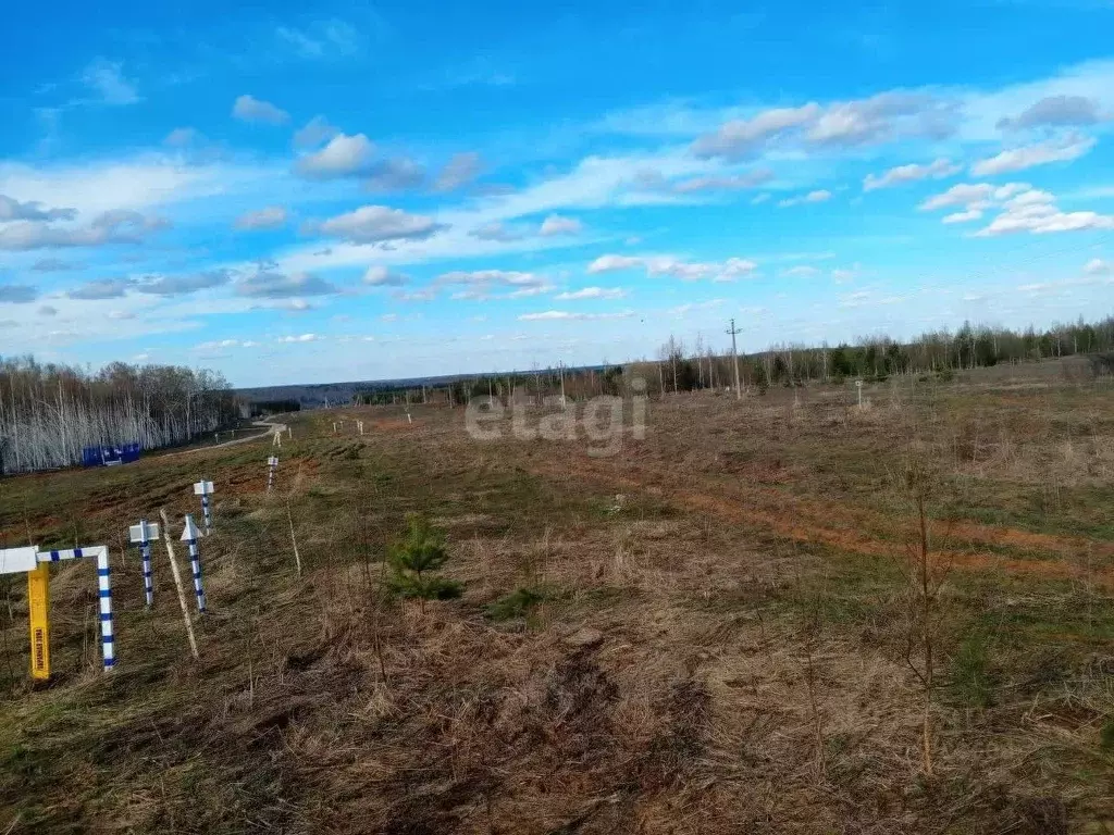 участок в нижегородская область, богородский муниципальный округ, д. . - Фото 0