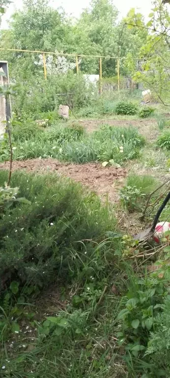 Дом в Волгоград, посёлок Латошинка, Брусничная улица, 27 (36 м) - Фото 2