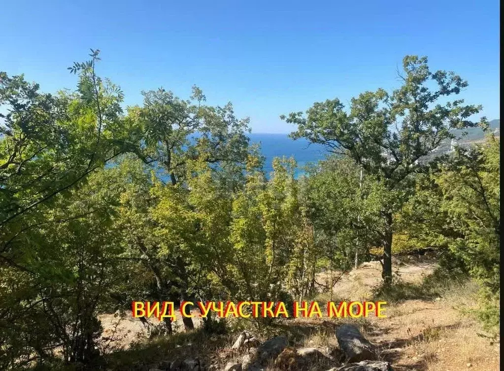 Участок в Крым, Ялта муниципальный округ, Гаспра пгт ш. ... - Фото 1