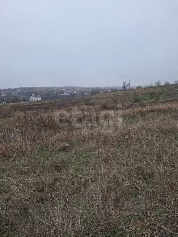 Участок в Ростовская область, Аксайский район, Большой Лог хут. ул. ... - Фото 2