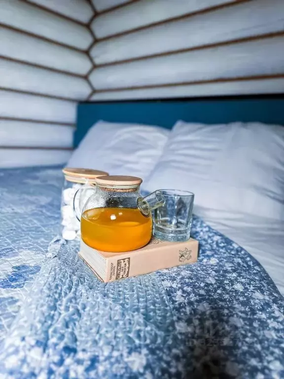 Дом в Пензенская область, Мокшанский район, Рамзайский сельсовет, с. ... - Фото 2