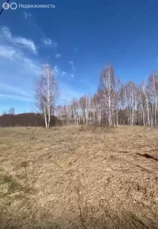 Участок в Новосибирская область, Коченёвский муниципальный район, ДНТ ... - Фото 0