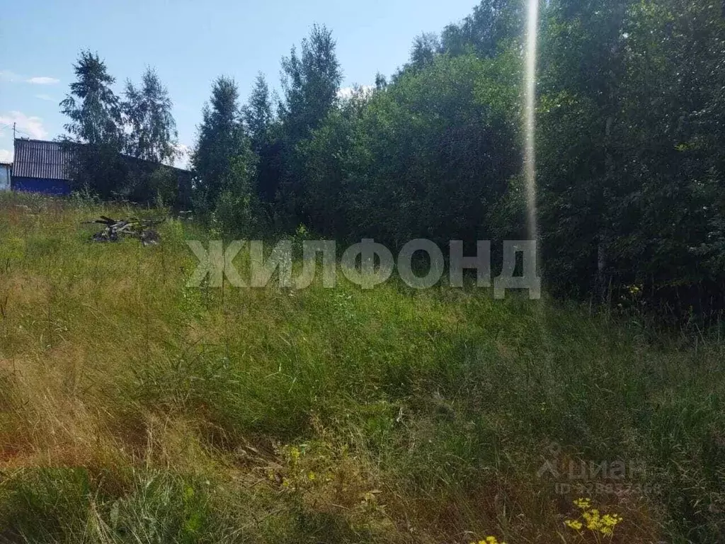 Участок в Томская область, Томск Басандайская ул. (14.0 сот.) - Фото 2