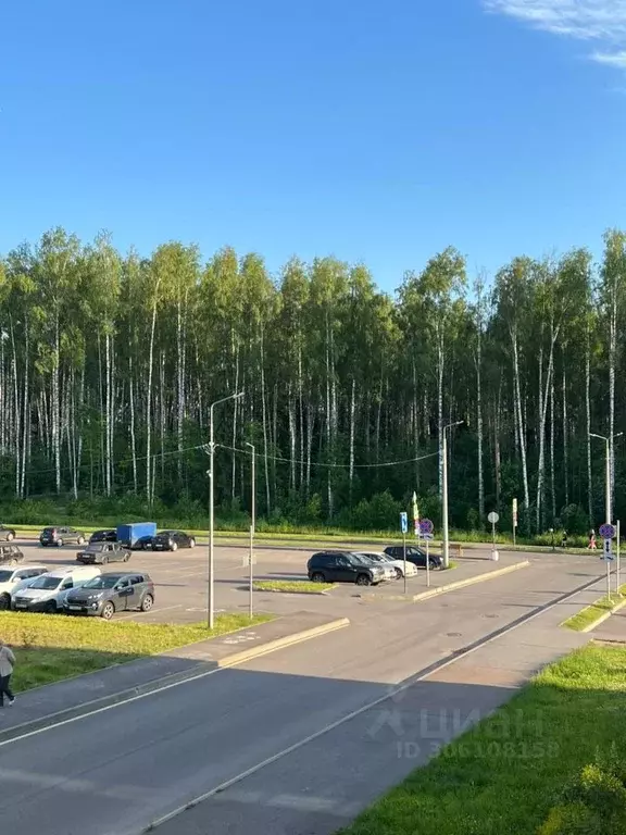 Студия Ленинградская область, Сертолово Всеволожский район, ... - Фото 0