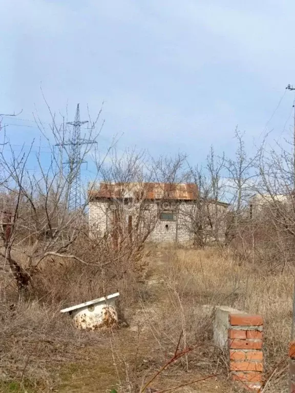 Дом в Волгоградская область, Волгоград Сластена СНТ, 4-я линия (55 м) - Фото 1