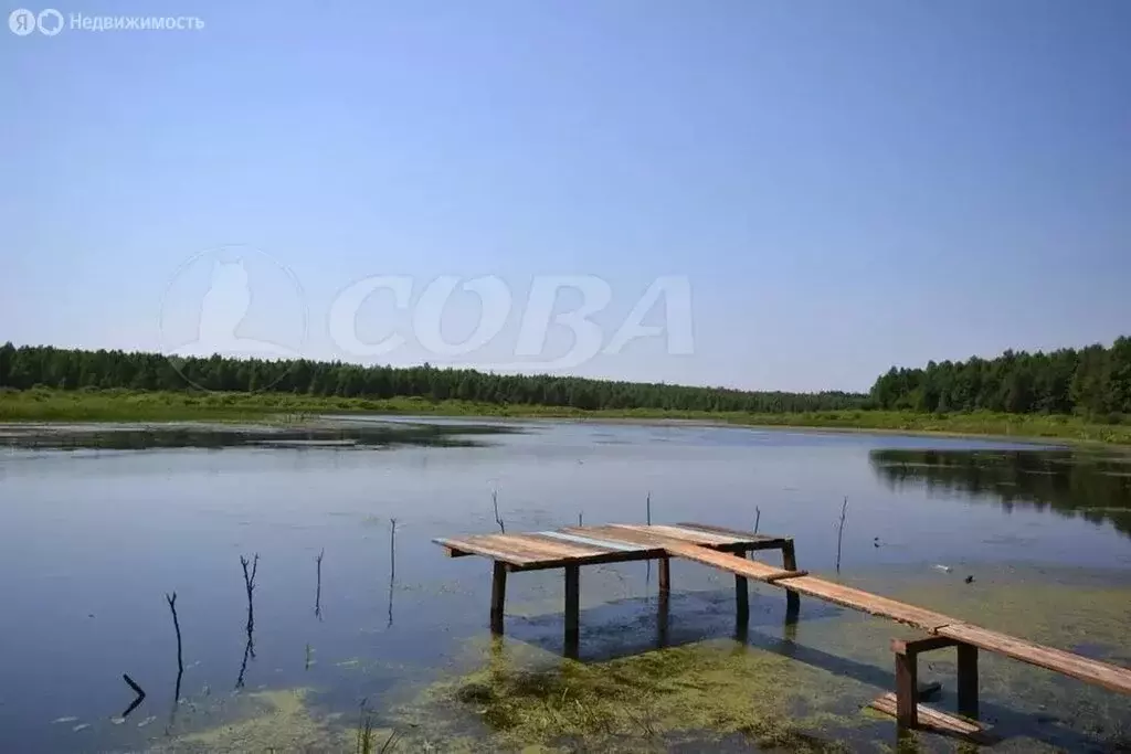 Участок в Свердловская область, Тугулымский муниципальный округ, село ... - Фото 2