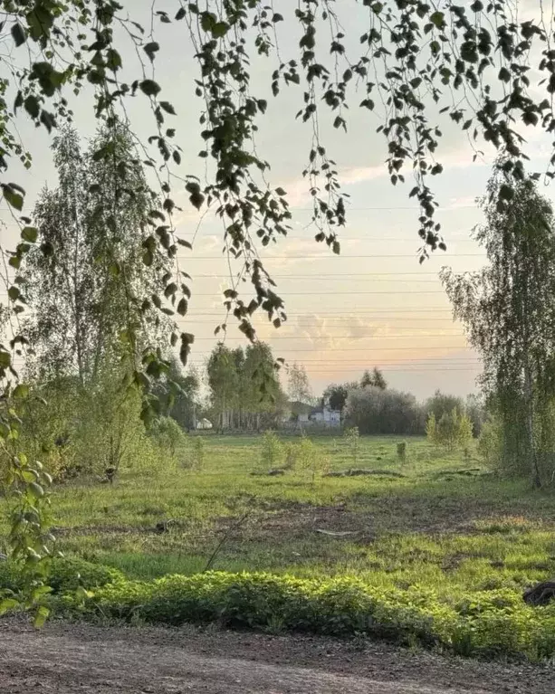 Участок в Московская область, Коломна ул. Подлипки-5 (12.06 сот.) - Фото 1