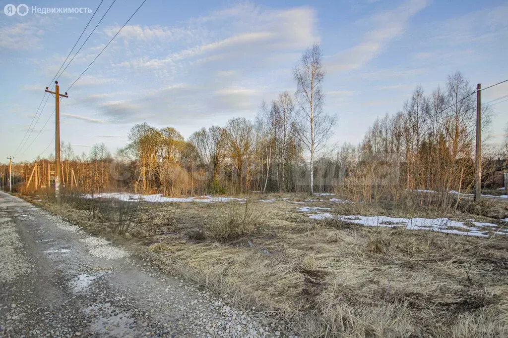 Участок в Наро-Фоминский городской округ, садоводческое некоммерческое ... - Фото 2