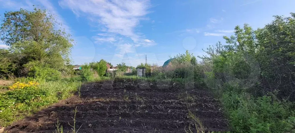 Участок 6,5 сот. (СНТ, ДНП) - Фото 1