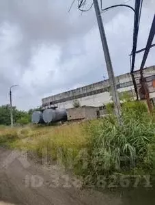 Участок в Московская область, Шатура муниципальный округ, пос. ... - Фото 1