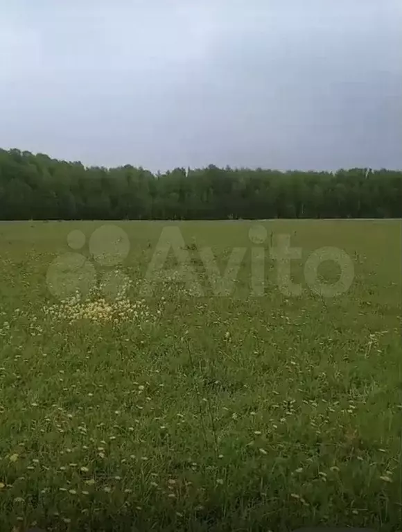 Участок 76 га (СНТ, ДНП) - Фото 0