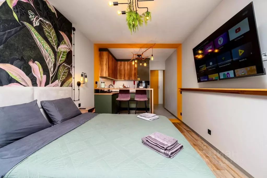 Студия Санкт-Петербург Заневский просп., 42 (30.0 м) - Фото 2