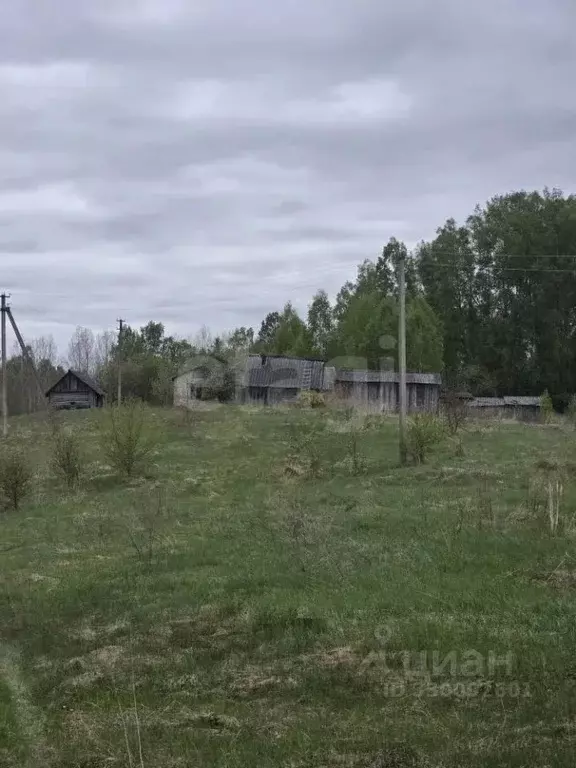 Дом в Псковская область, Островский муниципальный округ, Воронцовская ... - Фото 2