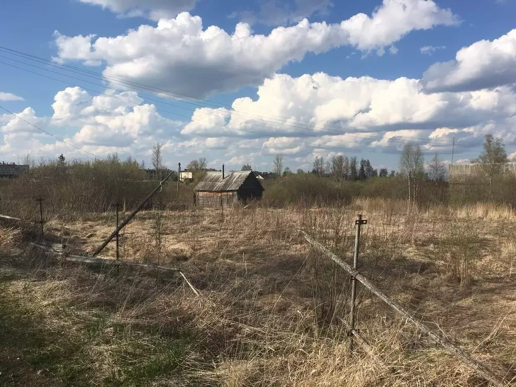 Участок в Новгородская область, Чудовский район, Успенское с/пос, д. ... - Фото 1