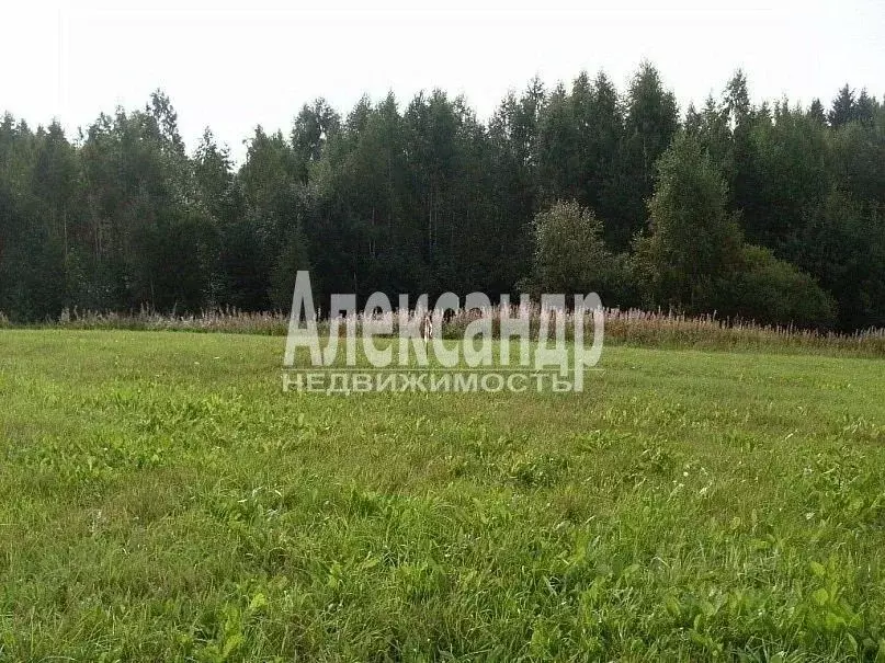 Участок в Ленинградская область, Всеволожский район, Агалатовское ... - Фото 0