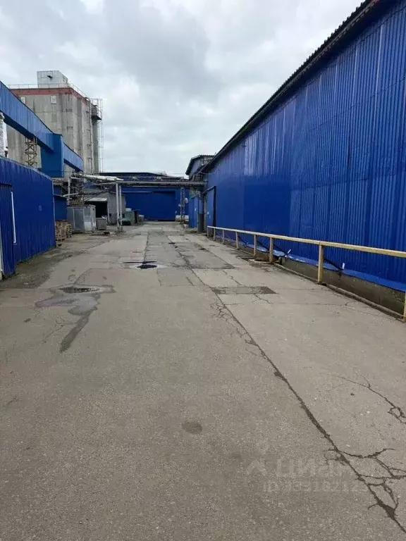 Склад в Московская область, Химки городской округ, д. Голиково проезд ... - Фото 1