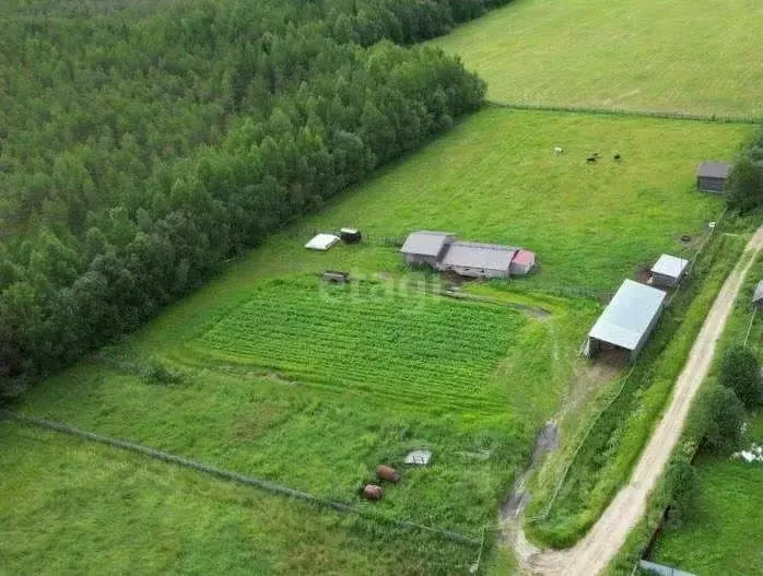 Участок в Коми, Корткеросский район, Додзь муниципальное образование, ... - Фото 0