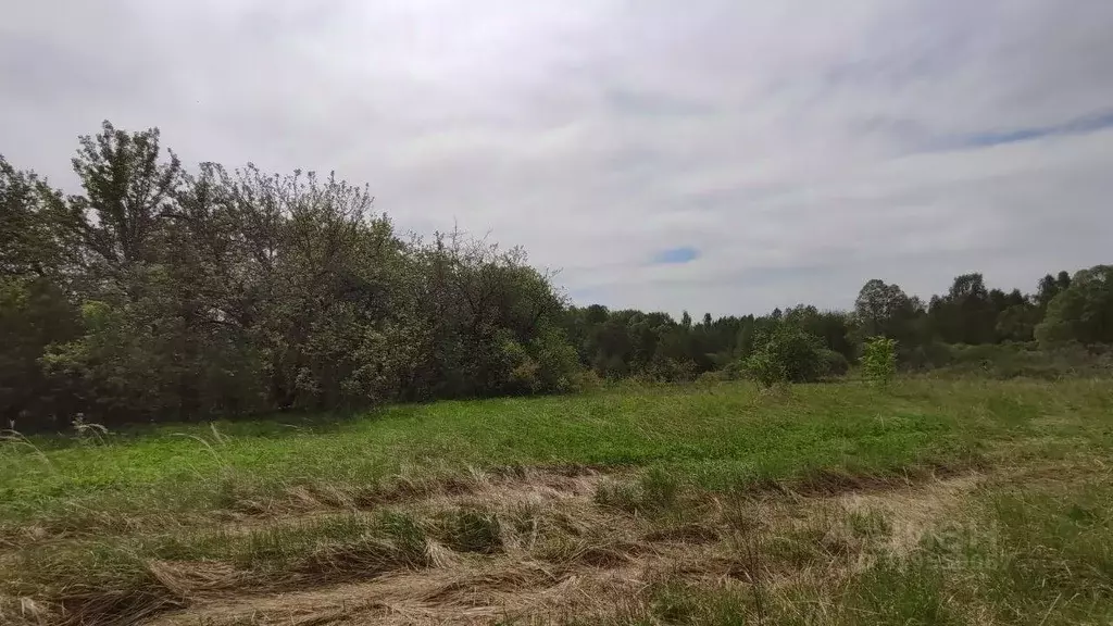 Участок в Московская область, Серпухов городской округ, д. Шатово  ... - Фото 0