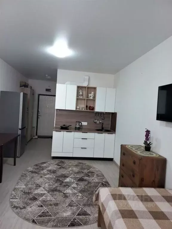 Студия Краснодарский край, Анапа ш. Супсехское, 39к16 (28.0 м) - Фото 2