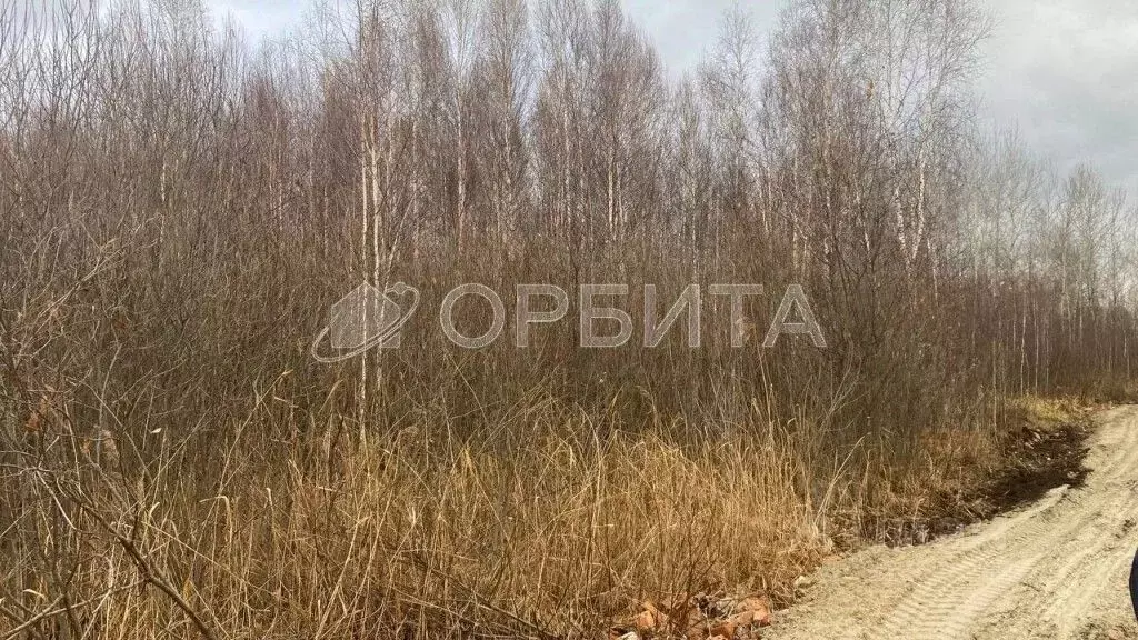 Участок в Тюменская область, Нижнетавдинский район, Душевное садовое ... - Фото 0