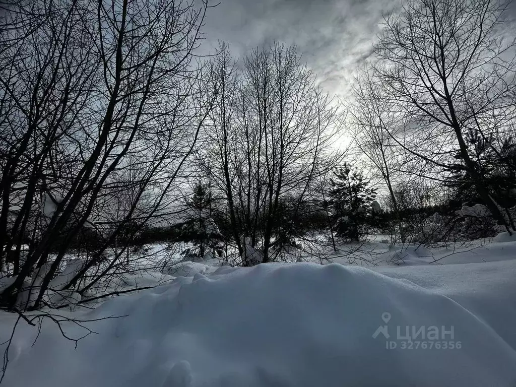 Участок в Московская область, Ступино городской округ, д. Васьково  ... - Фото 2