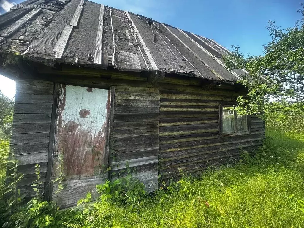 Участок в Новгородская область, Маловишерское городское поселение, ... - Фото 0