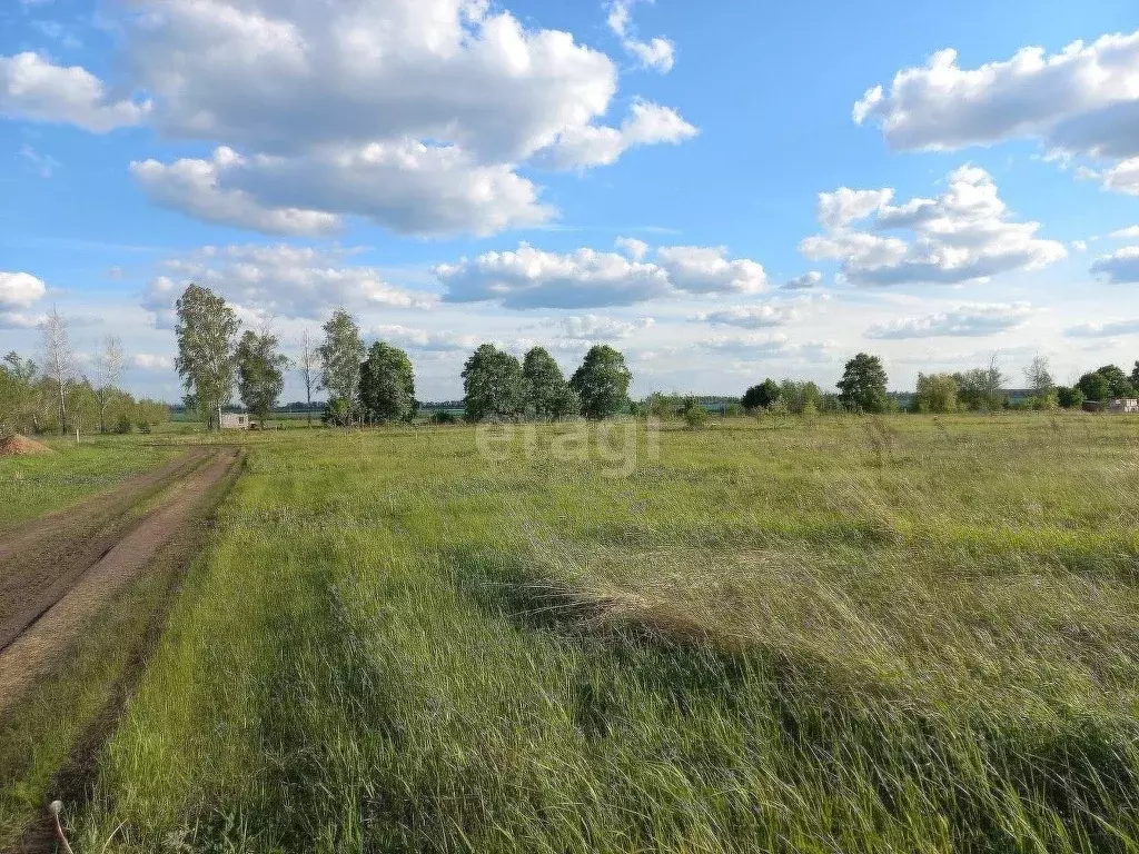 Купить Дом Орлово Воронежской Области Новоусманском