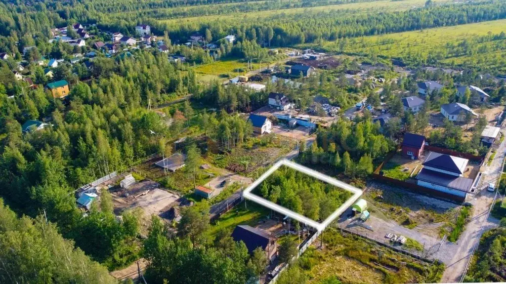 Участок в Ленинградская область, Всеволожский район, Рахьинское ... - Фото 0