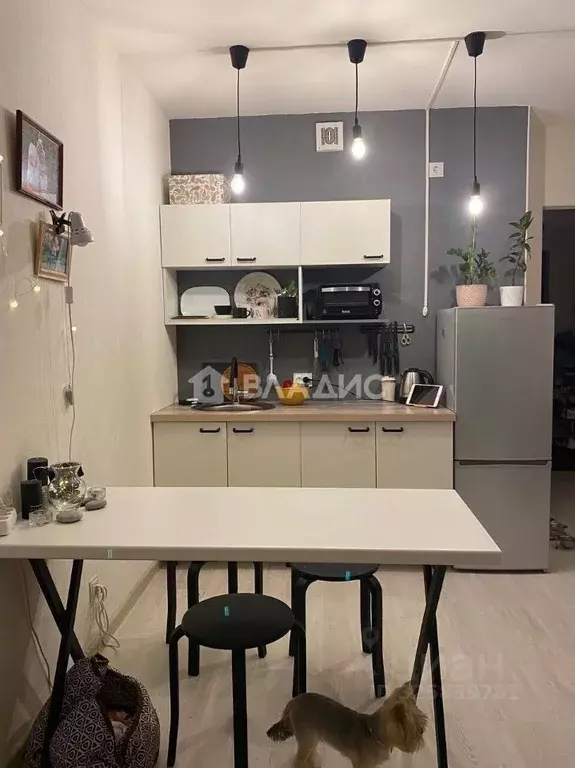 Студия Санкт-Петербург, Санкт-Петербург, Пушкин ул. Архитектора ... - Фото 1