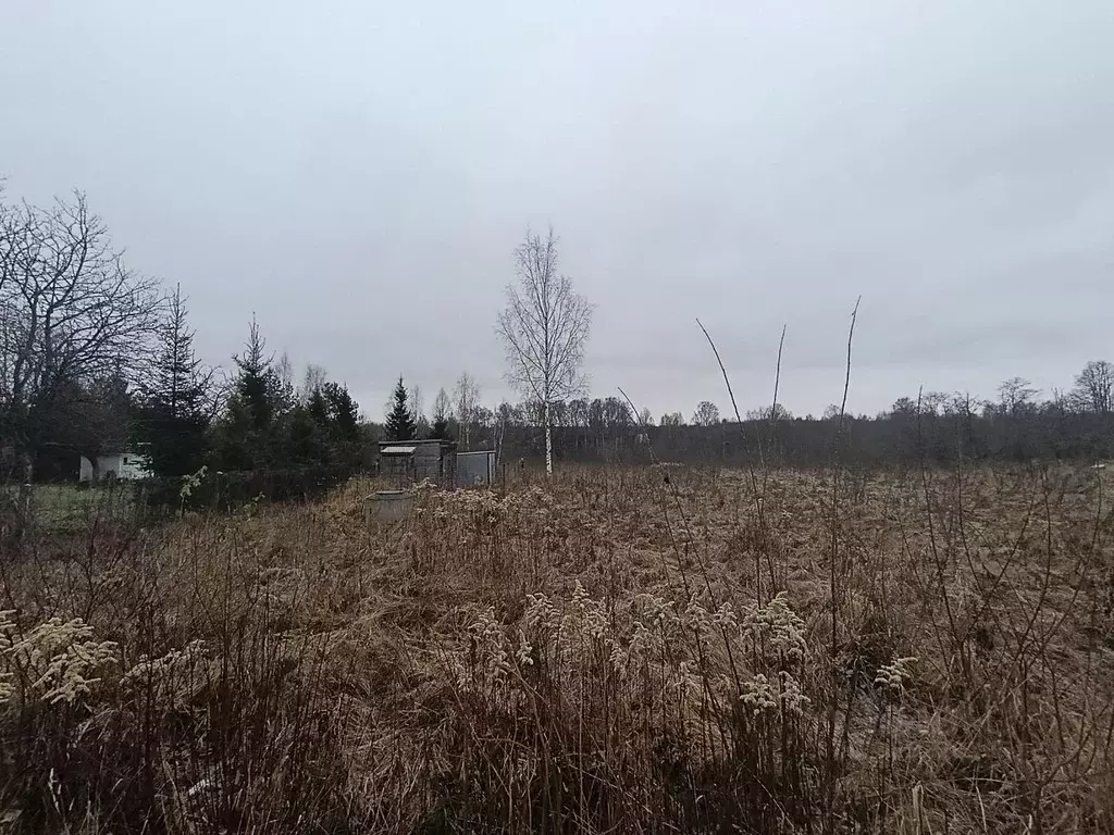 Участок в Московская область, Волоколамский муниципальный округ, с. ... - Фото 1