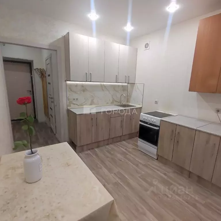 1-к кв. Новосибирская область, Новосибирск Красный просп., 309 (37.3 ... - Фото 1