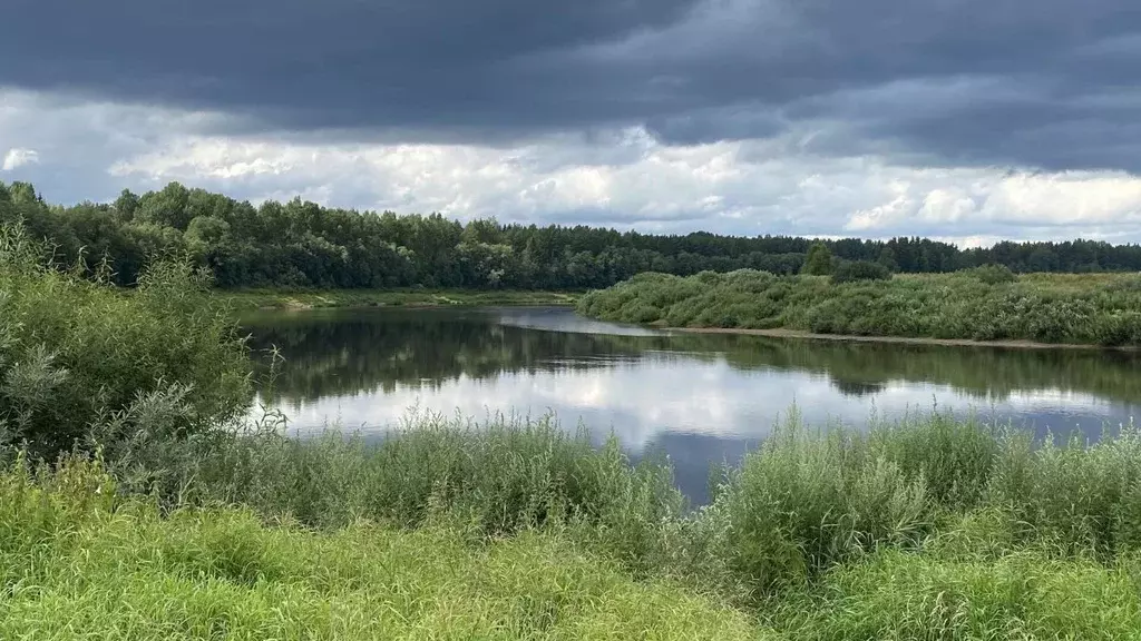 Участок в Новгородская область, Маловишерский район, Бургинское с/пос, ... - Фото 0