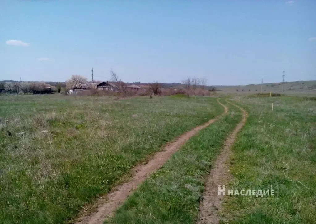 Масаловка каменский. Хутор Масаловка Каменский район Ростовская область. Фото х.Масаловка. Таловатая балка Каменский район. Ул.Западная 3 Масаловка Каменский район.