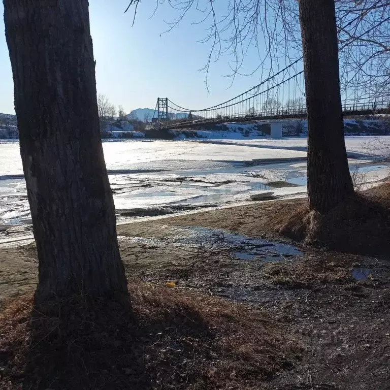 Участок в Алтай, Майминский район, Алтай СТ  (10.0 сот.) - Фото 1