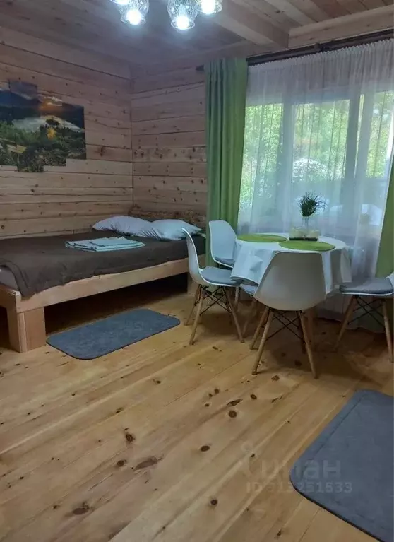 Комната Алтай, Турочакский район, с. Артыбаш пер. Еловый, 6 (30.0 м) - Фото 0