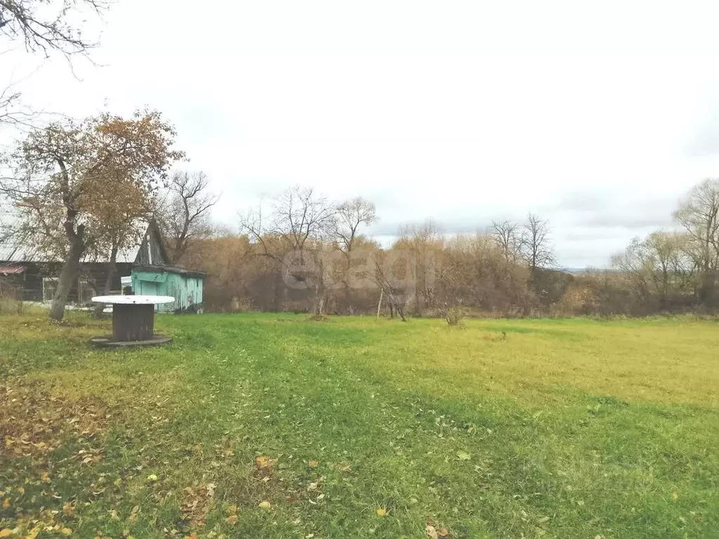 Участок в Калужская область, Дзержинский муниципальный округ, Дворцы ... - Фото 1