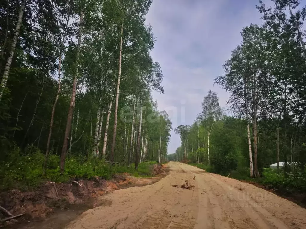 Участок в Тюменская область, Тобольск Микрорайон усадьба,  (10.0 сот.) - Фото 1