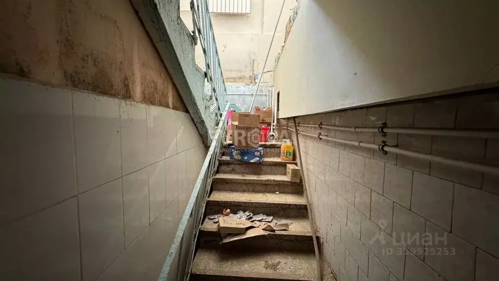 Помещение свободного назначения в Ульяновская область, Ульяновск ул. ... - Фото 1