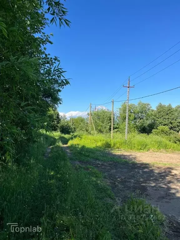 Участок в Камчатский край, Елизово Садовый мкр,  (8.58 сот.) - Фото 1