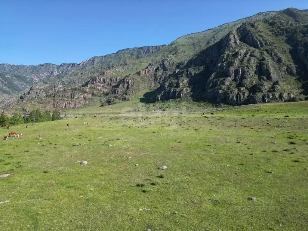 Участок в Алтай, с. Онгудай  (70.0 сот.) - Фото 1