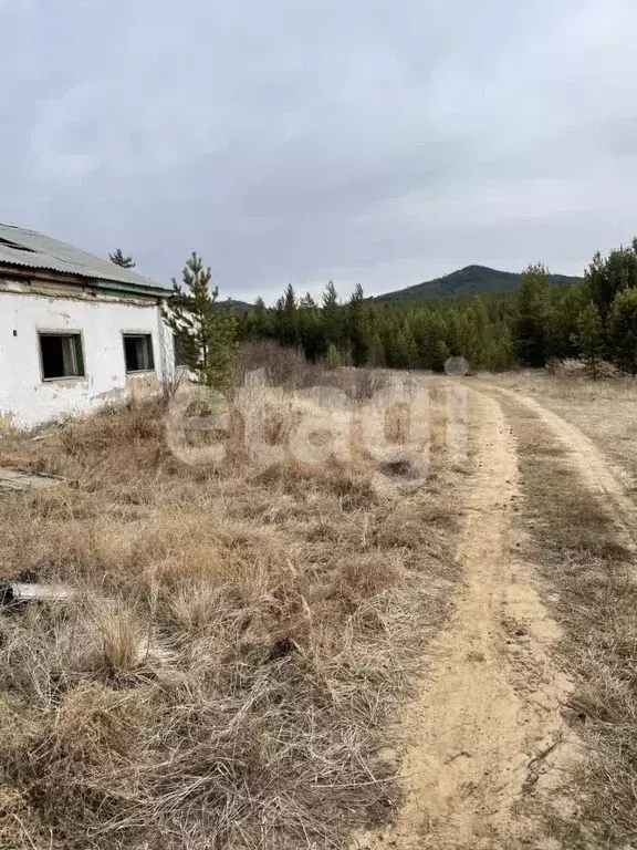 участок в бурятия, тарбагатайский район, заводское муниципальное . - Фото 1