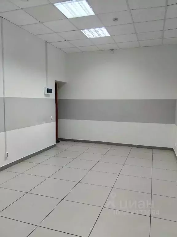 Помещение свободного назначения в Белгородская область, Белгород пер. ... - Фото 1