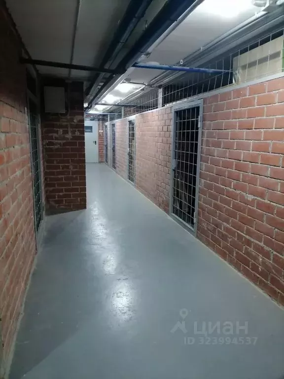 Помещение свободного назначения в Свердловская область, Екатеринбург ... - Фото 2