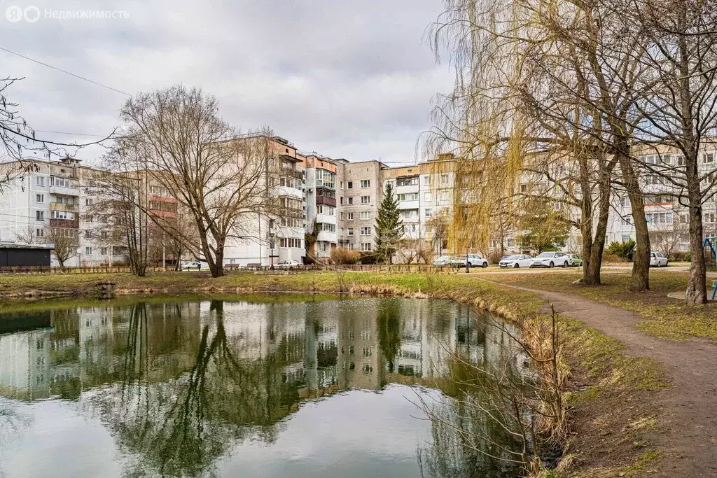 1-комнатная квартира: микрорайон Чкаловск, улица Горбунова, 2 (32 м) - Фото 2