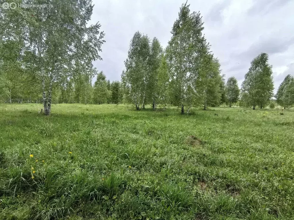 Участок в Каменский сельсовет (8 м) - Фото 2